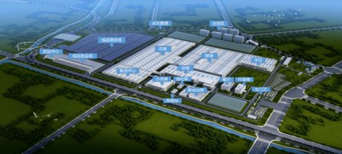 国内旅游业务喜迎复苏，行业迎来发展新机遇