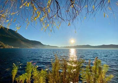 旅游企业业务全线复苏 上调业绩目标，'只要给机会，一定能一跃而起'